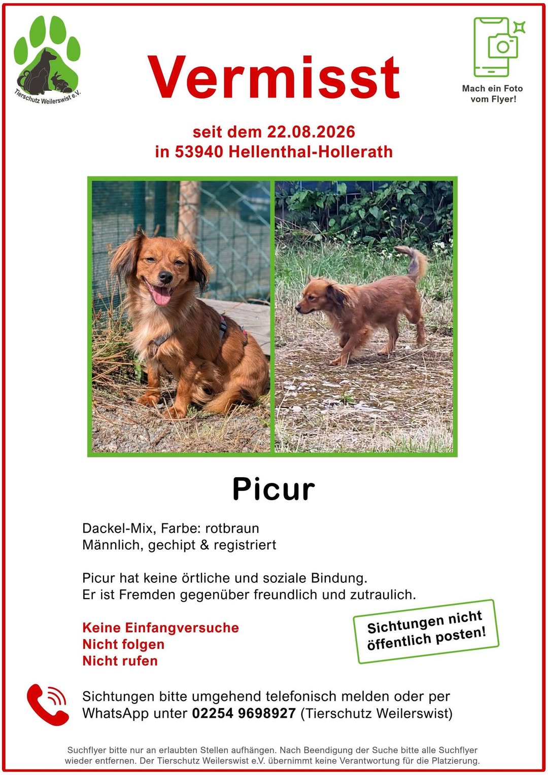 Lost Dog in Hellenthal