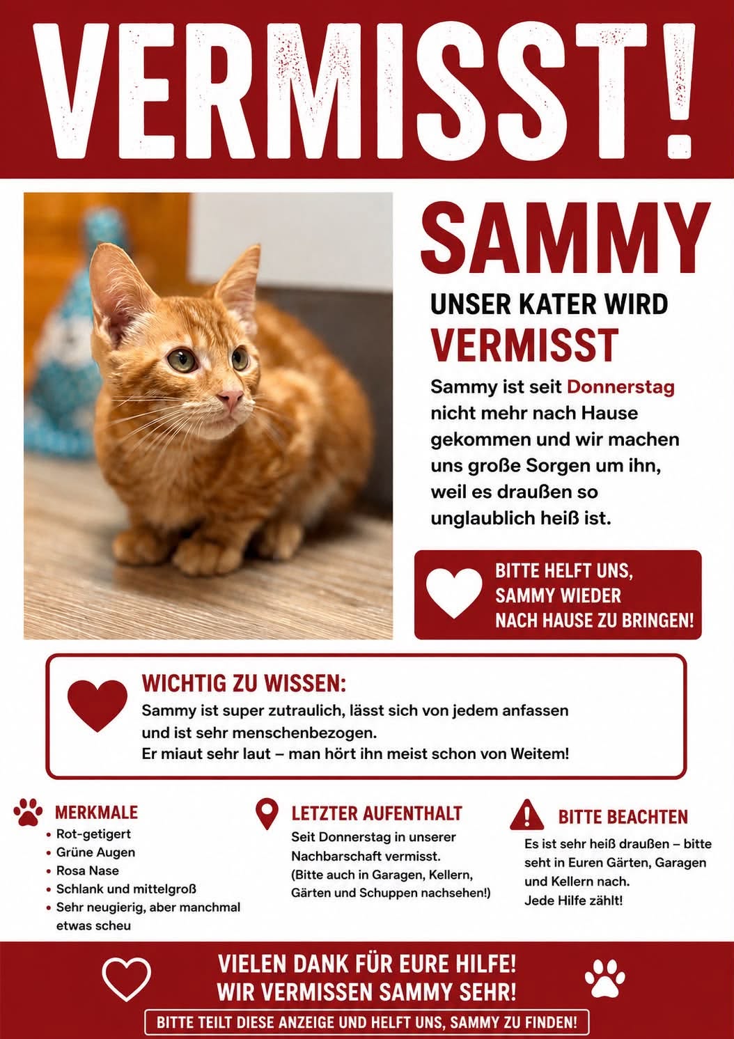 Lost cat
