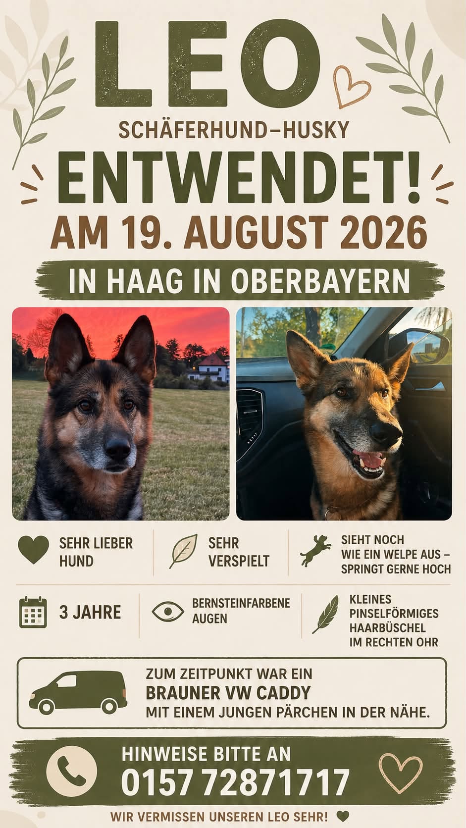 Lost Dog in Haag In Oberbayern