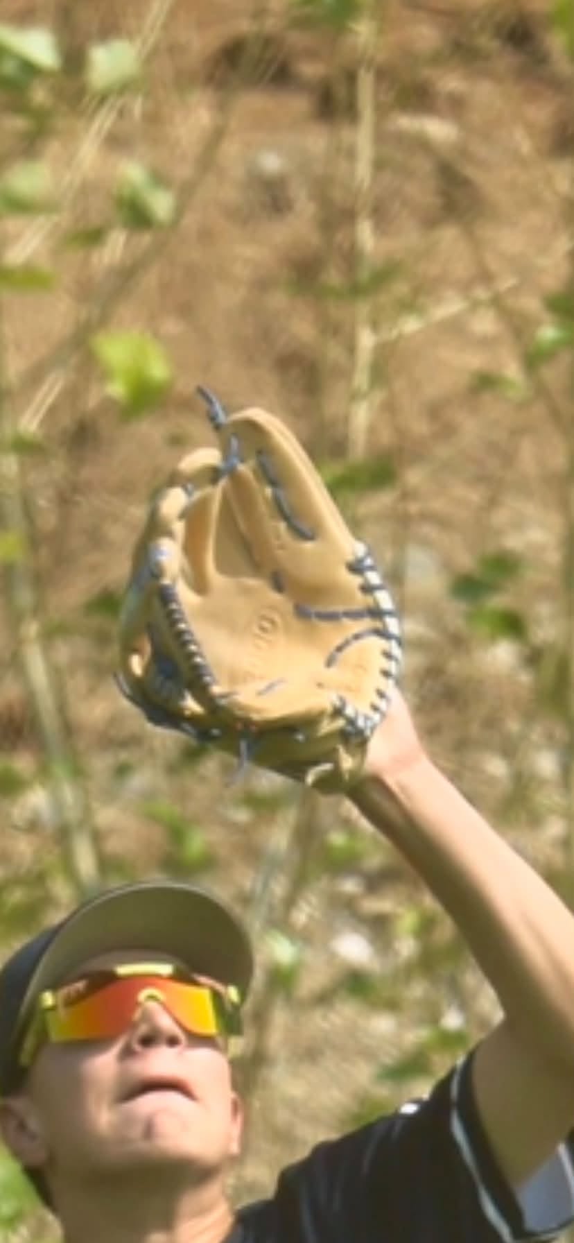 Lost baseball glove