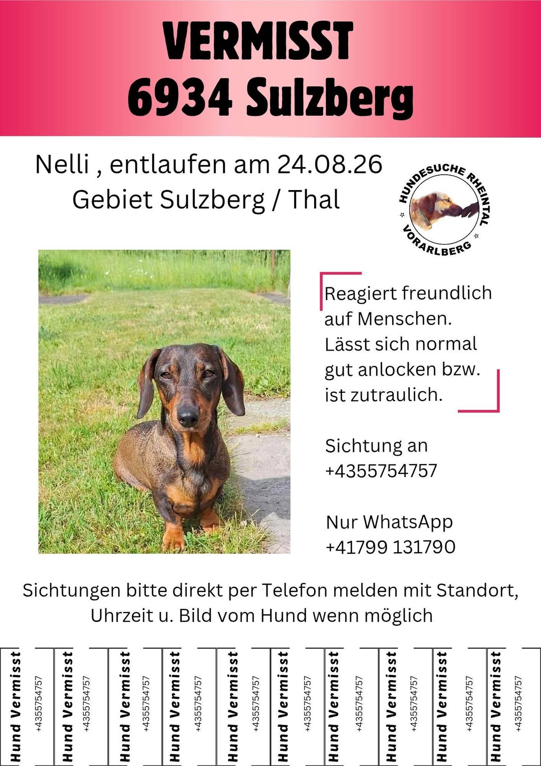 Lost Dog in Sulzberg