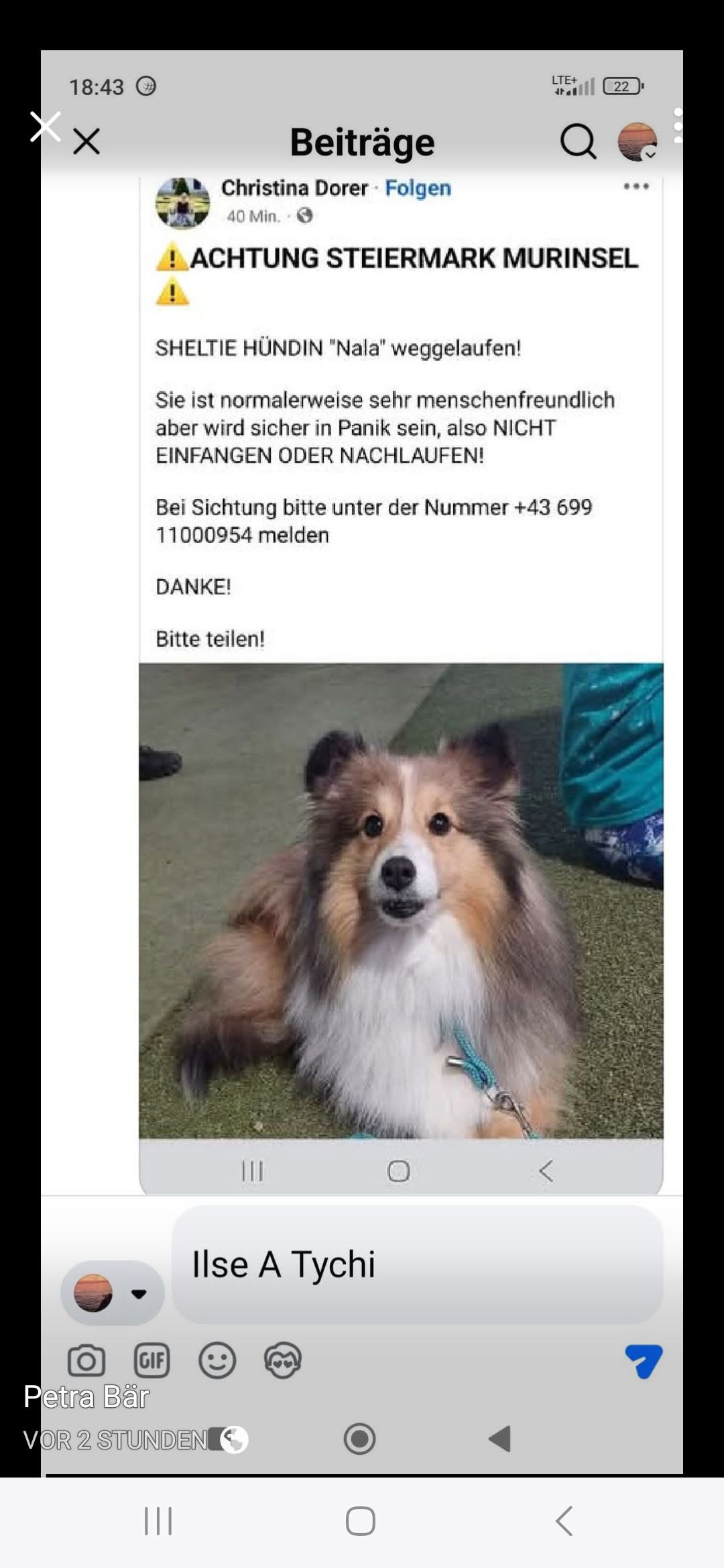Lost Dog in Graz