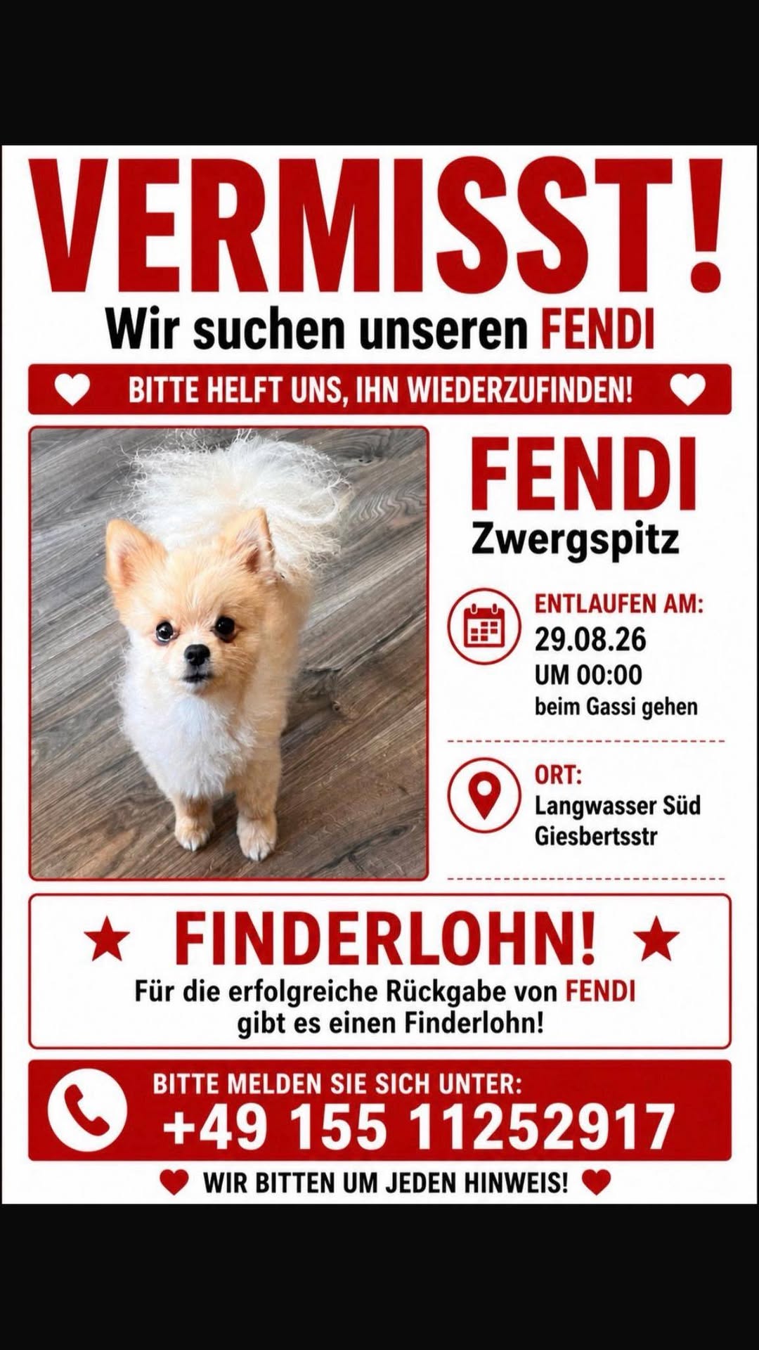 Lost Dog in NüRnberg