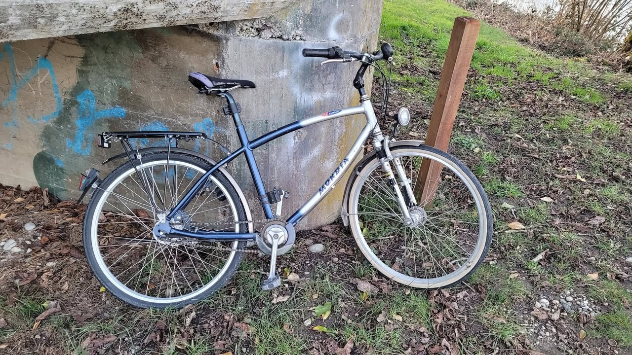 Found bike
