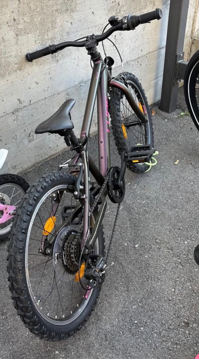 Lost Bike in Losone