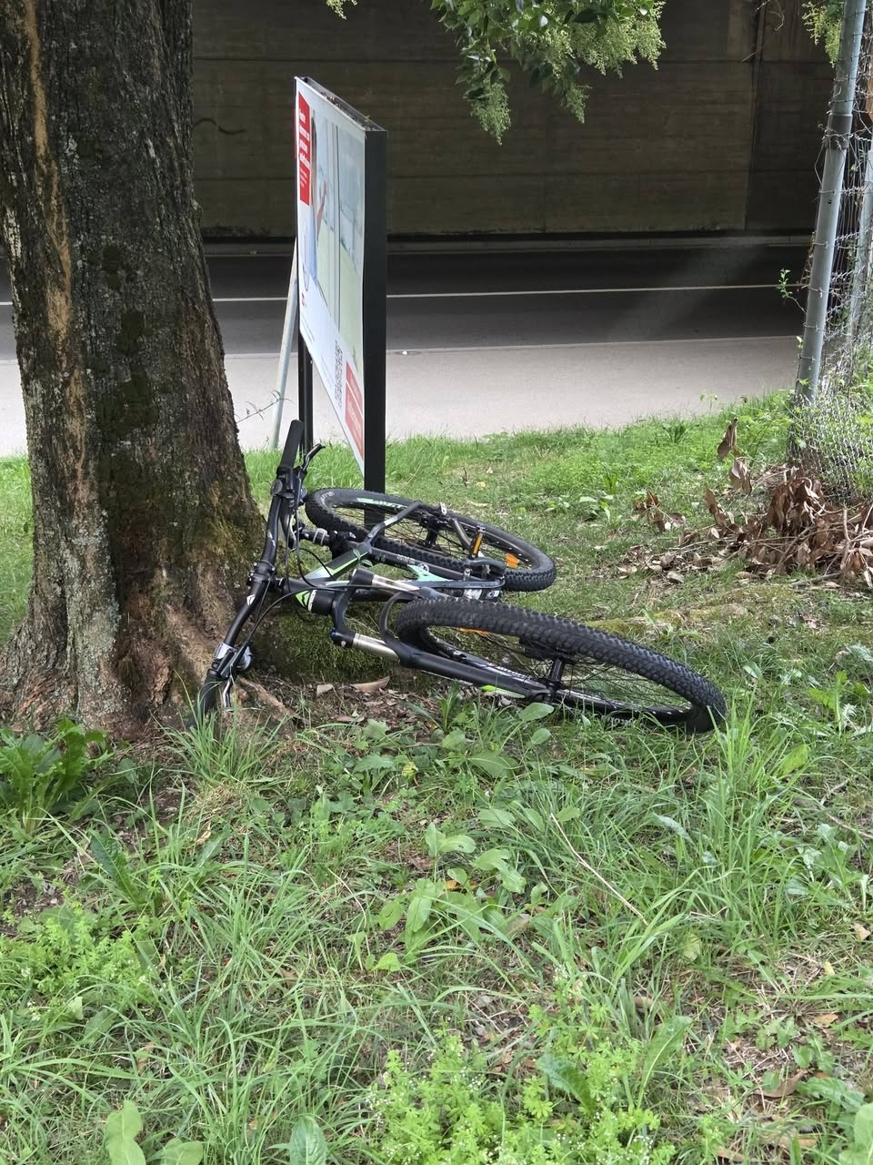 Found bike