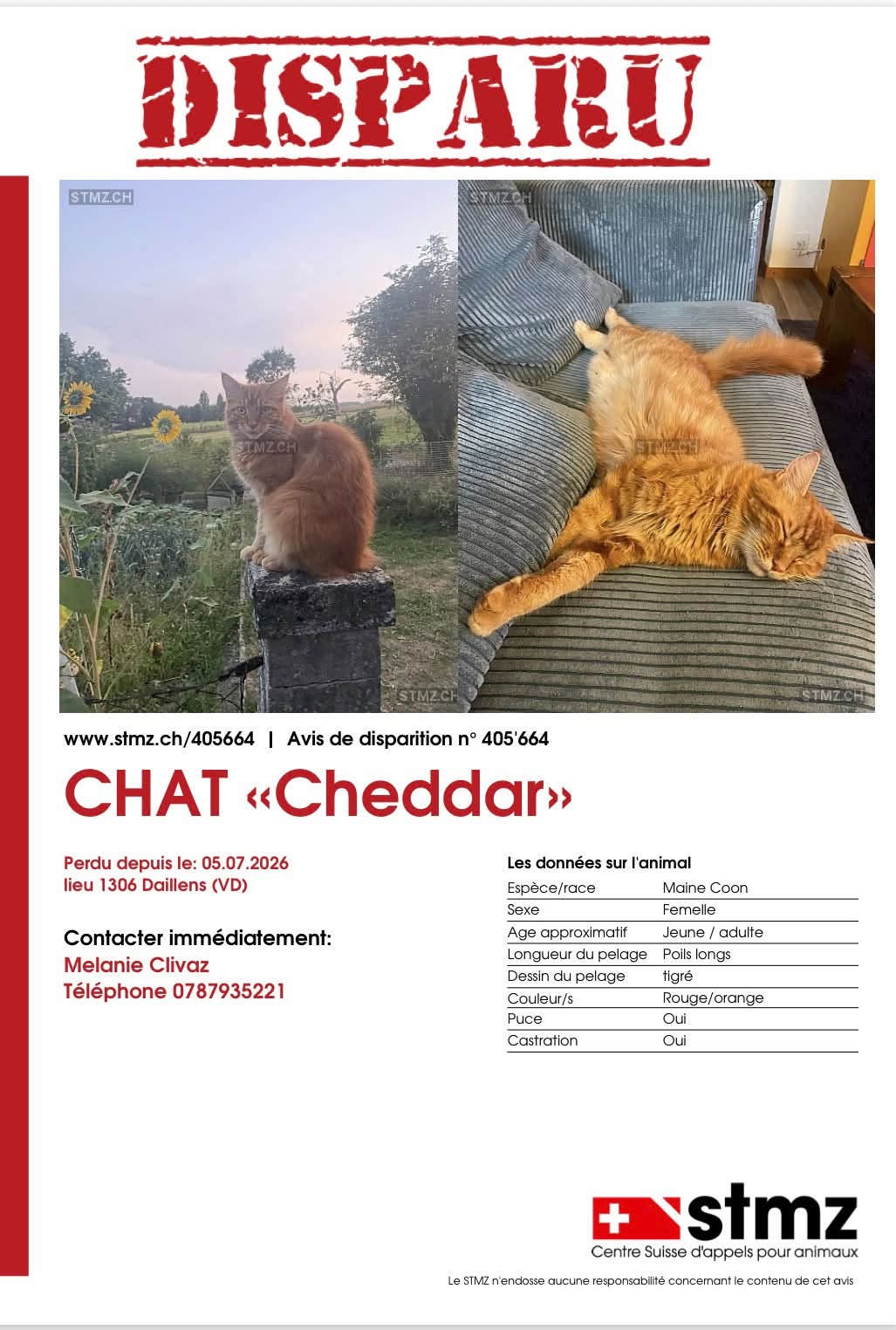 Lost Cat in Vaud
