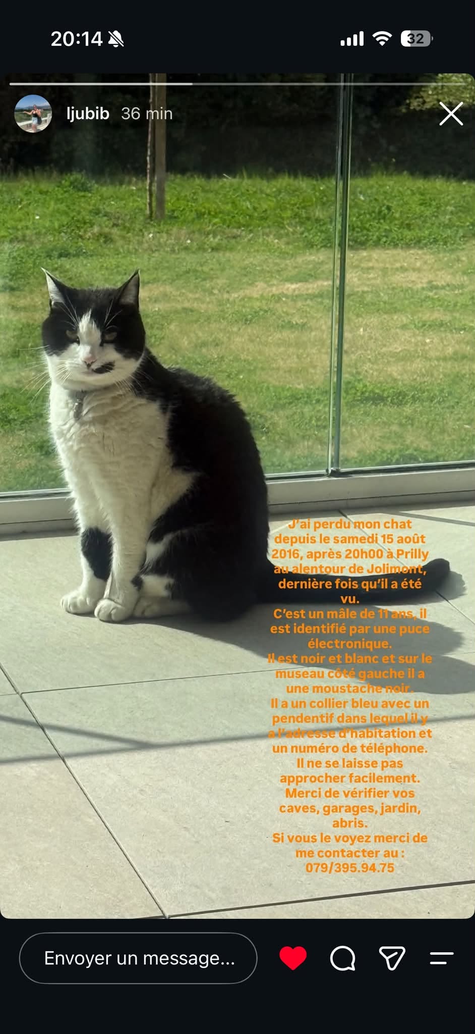 Lost Cat in Prilly