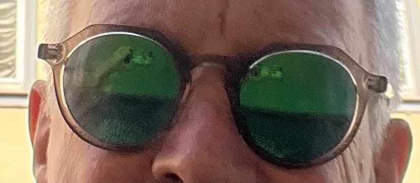 Lost sunglasses