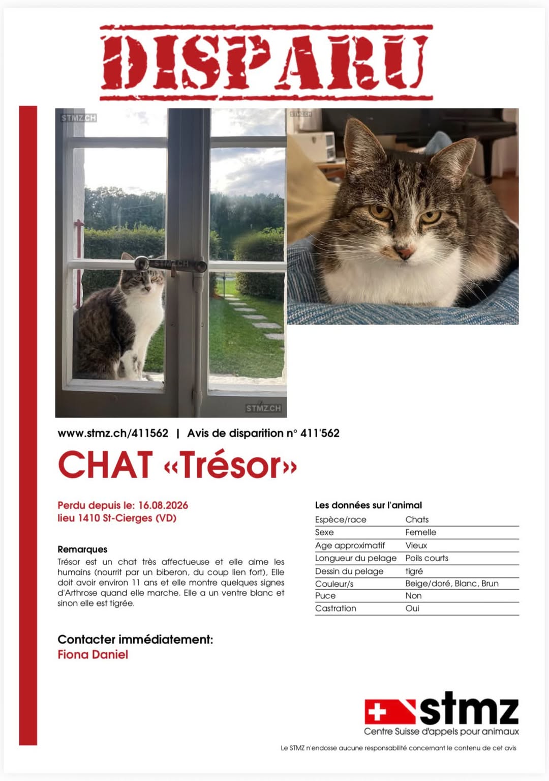 Lost Cat in Vaud