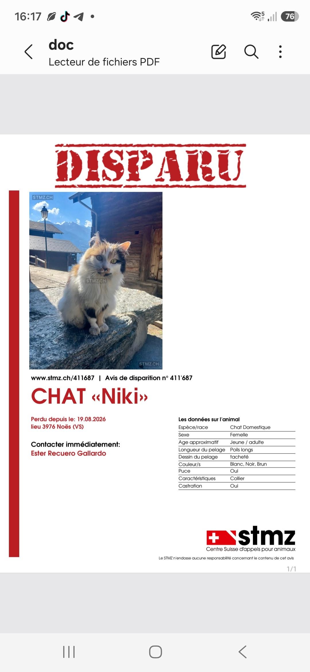 Lost Cat in NoëS