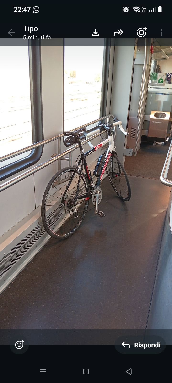 Lost Bike in Ticino
