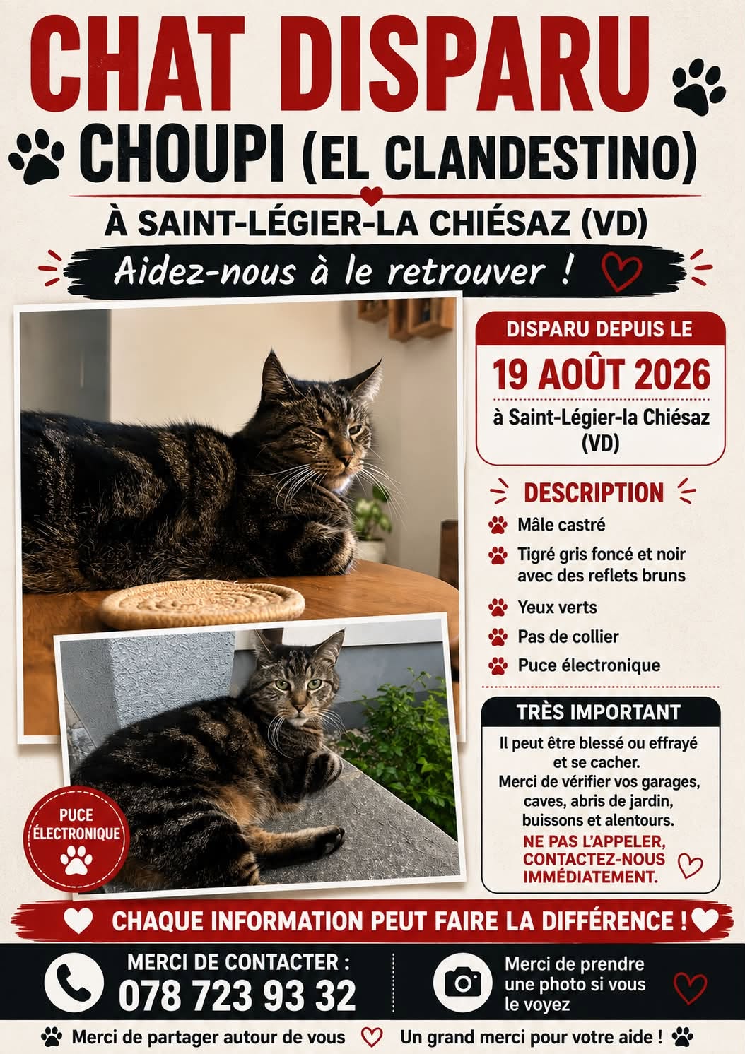 Lost Cat in Vaud
