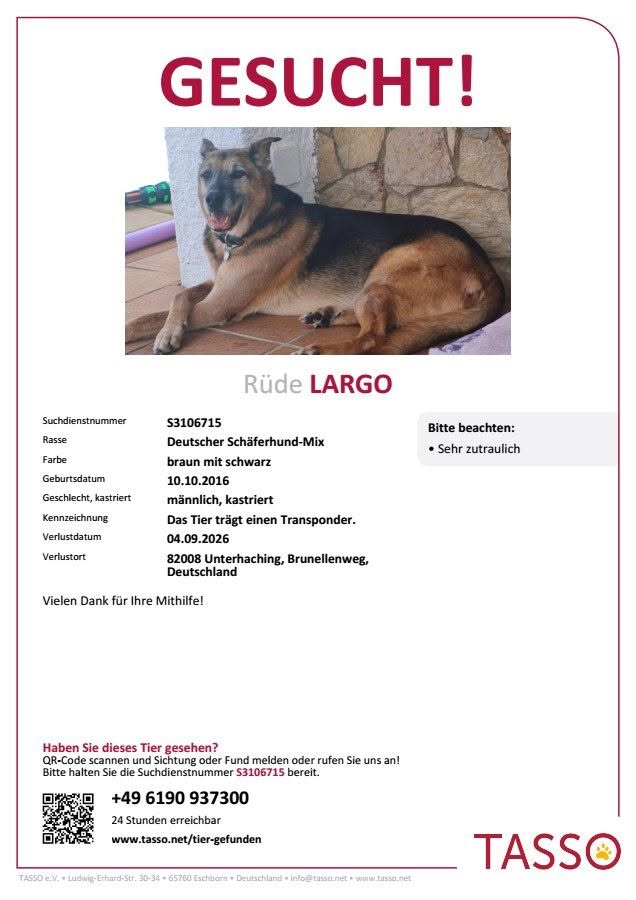 Lost Dog in Unterhaching