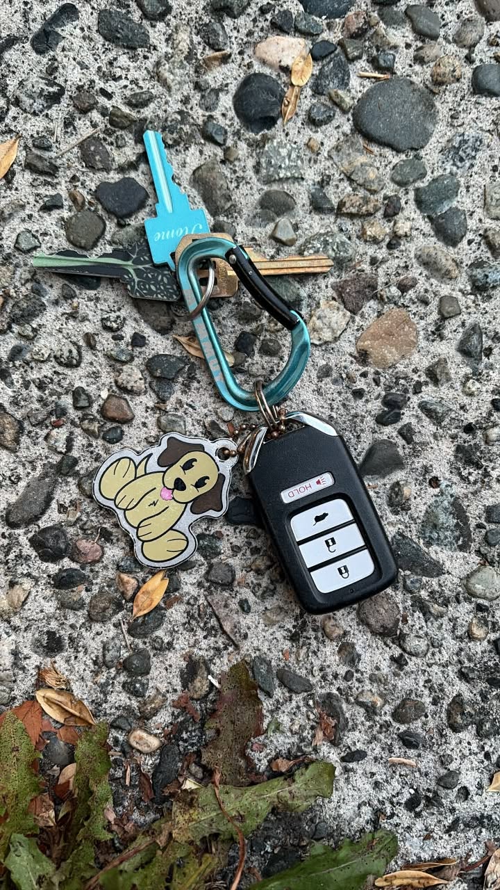 Found keys