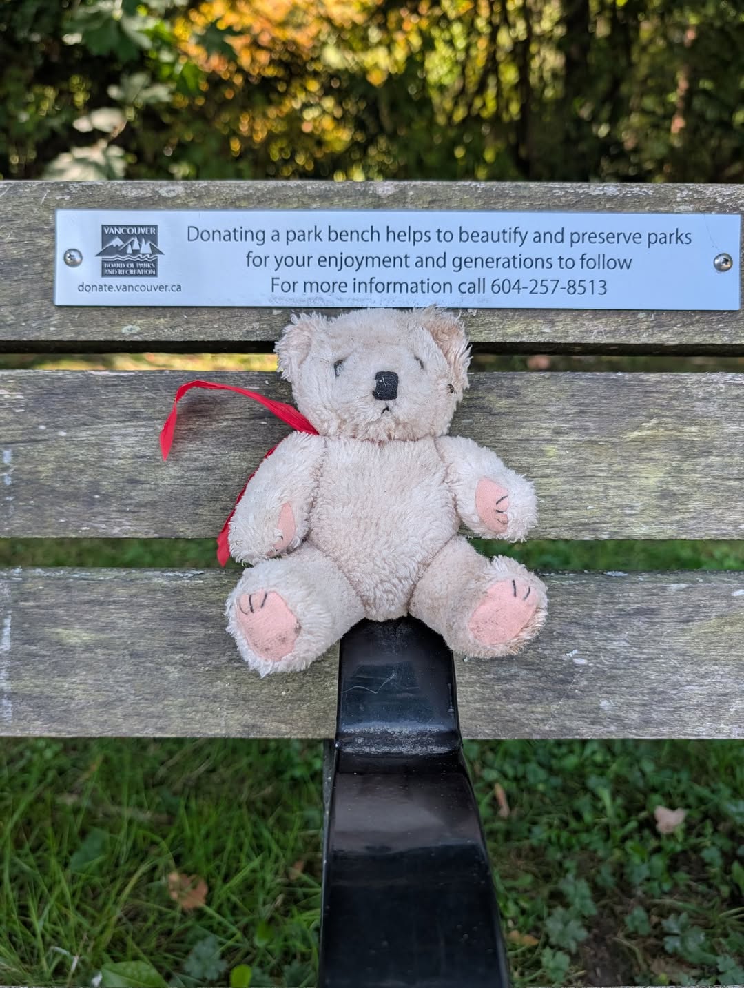 Found teddy bear