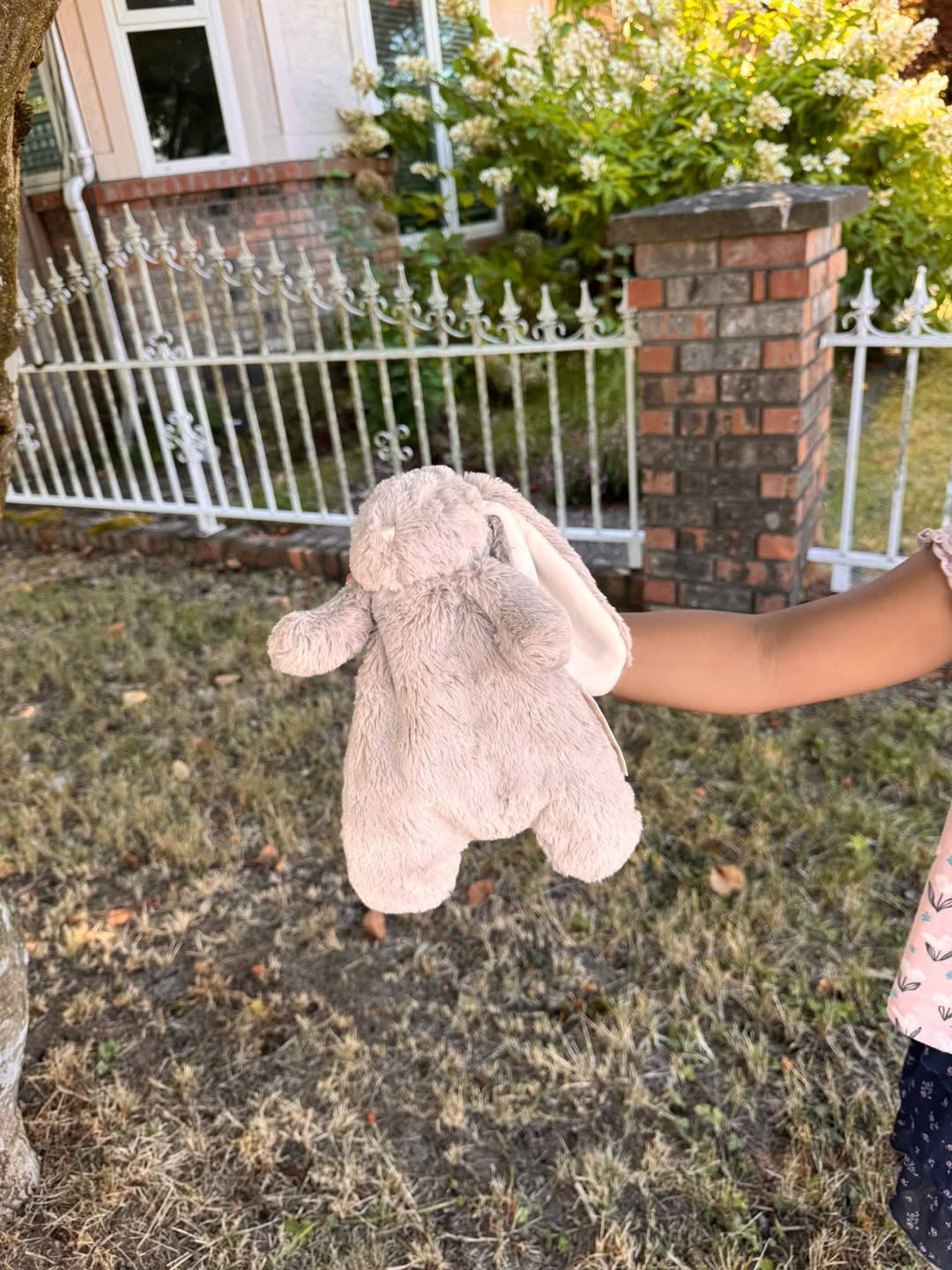 Found Stuffed Toy in Vancouver