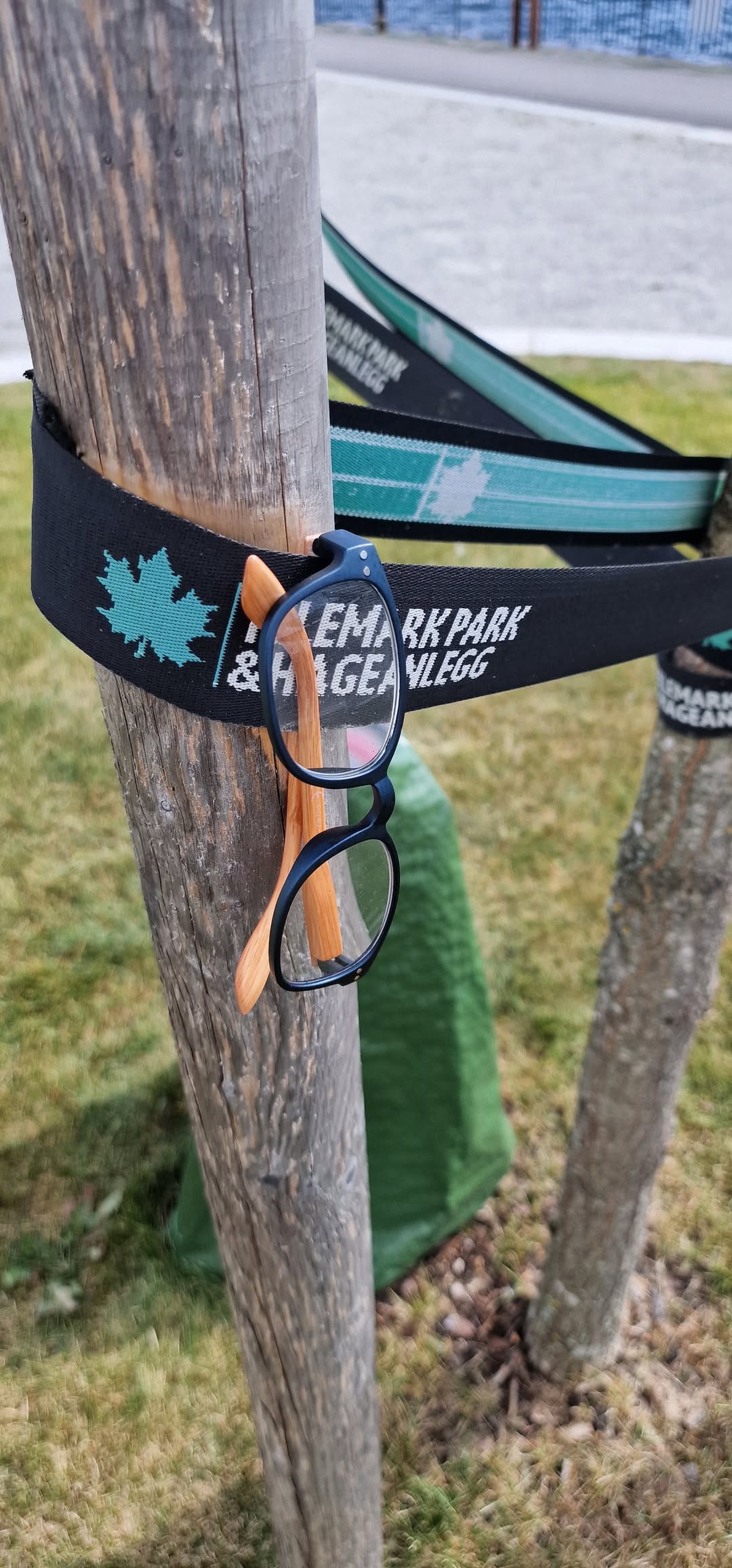 Found glasses