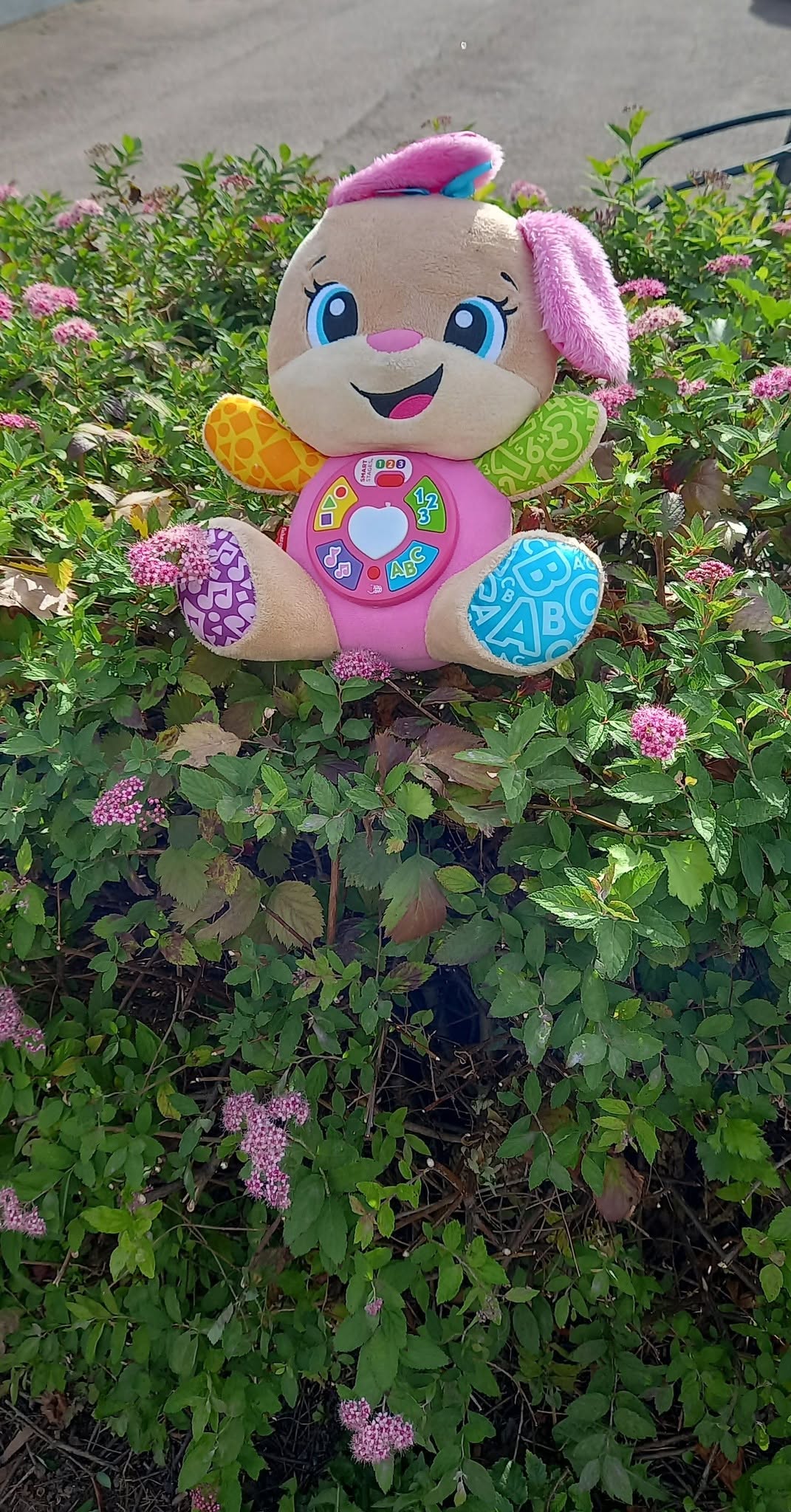 Found Toy in Karlstad