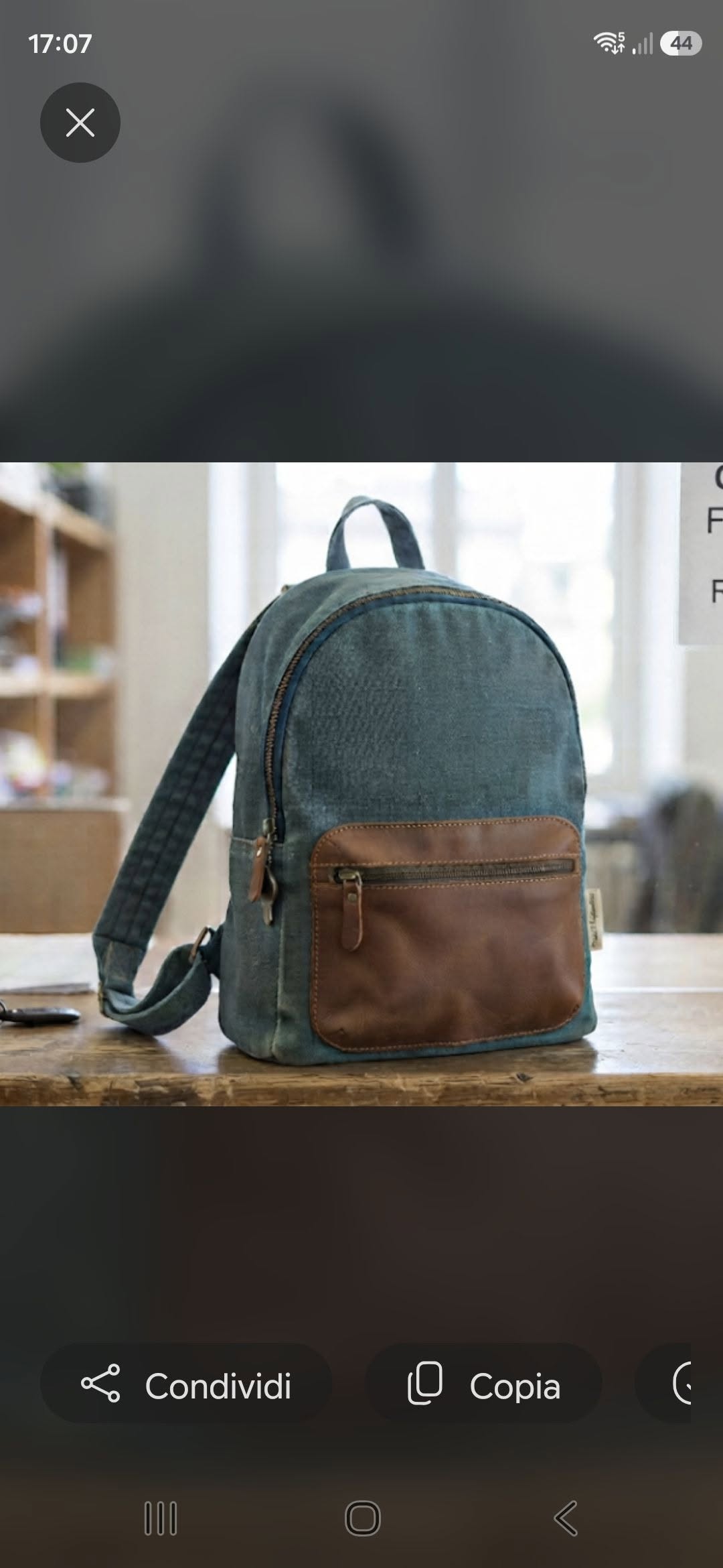Lost Bag in Biasca