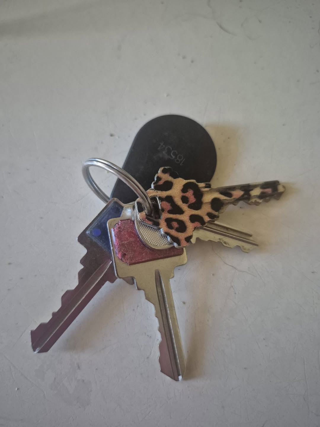 Found keys