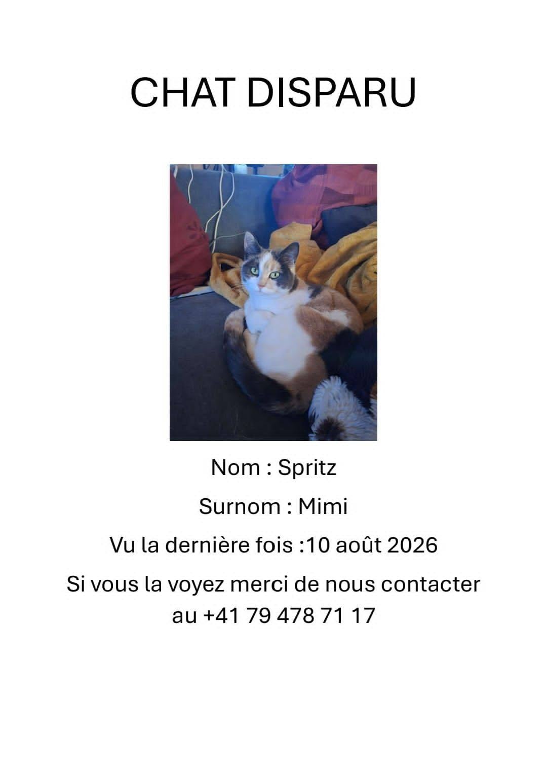 Lost Cat in Les Mosses