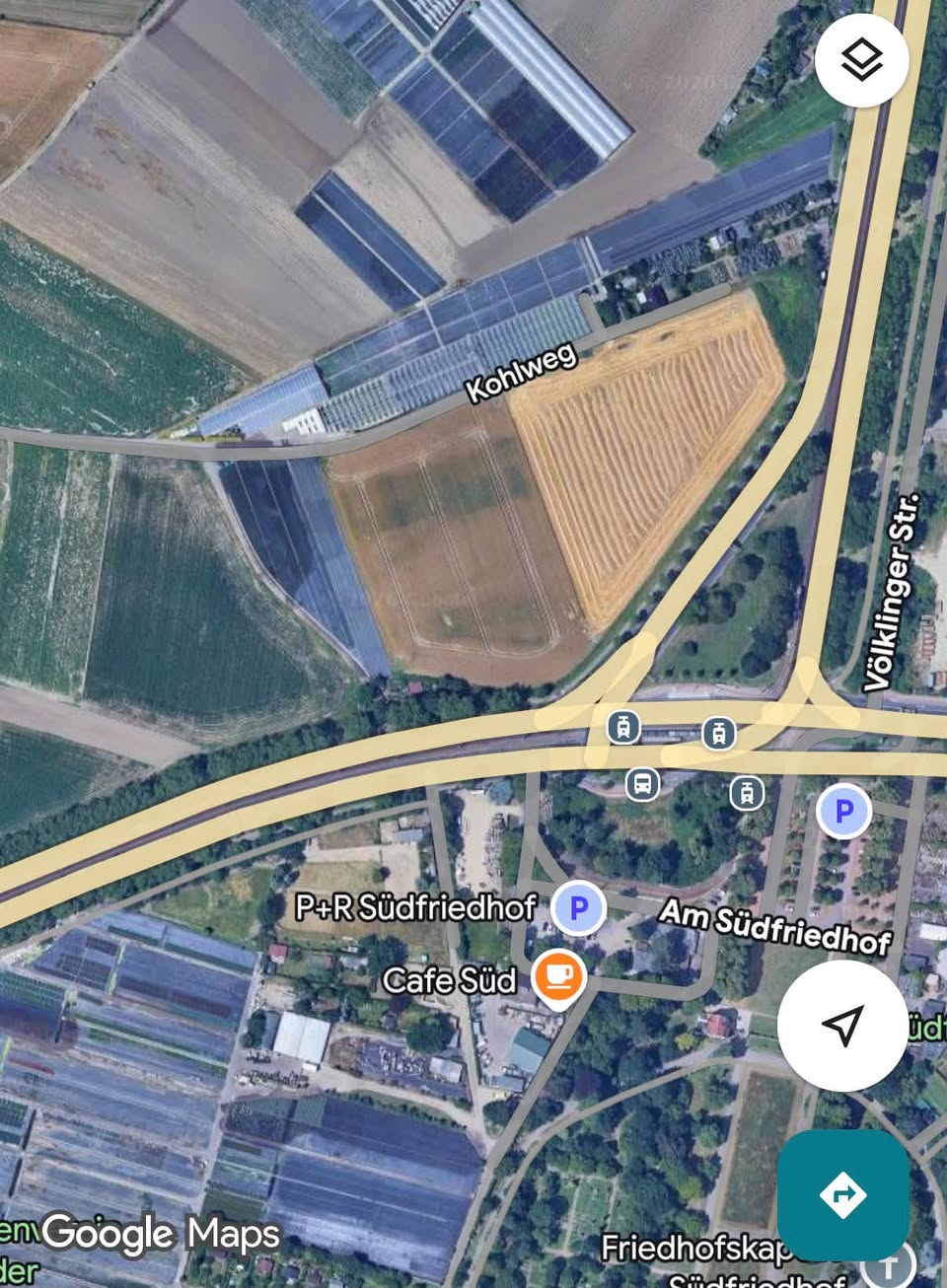 Lost Dog in DüSseldorf