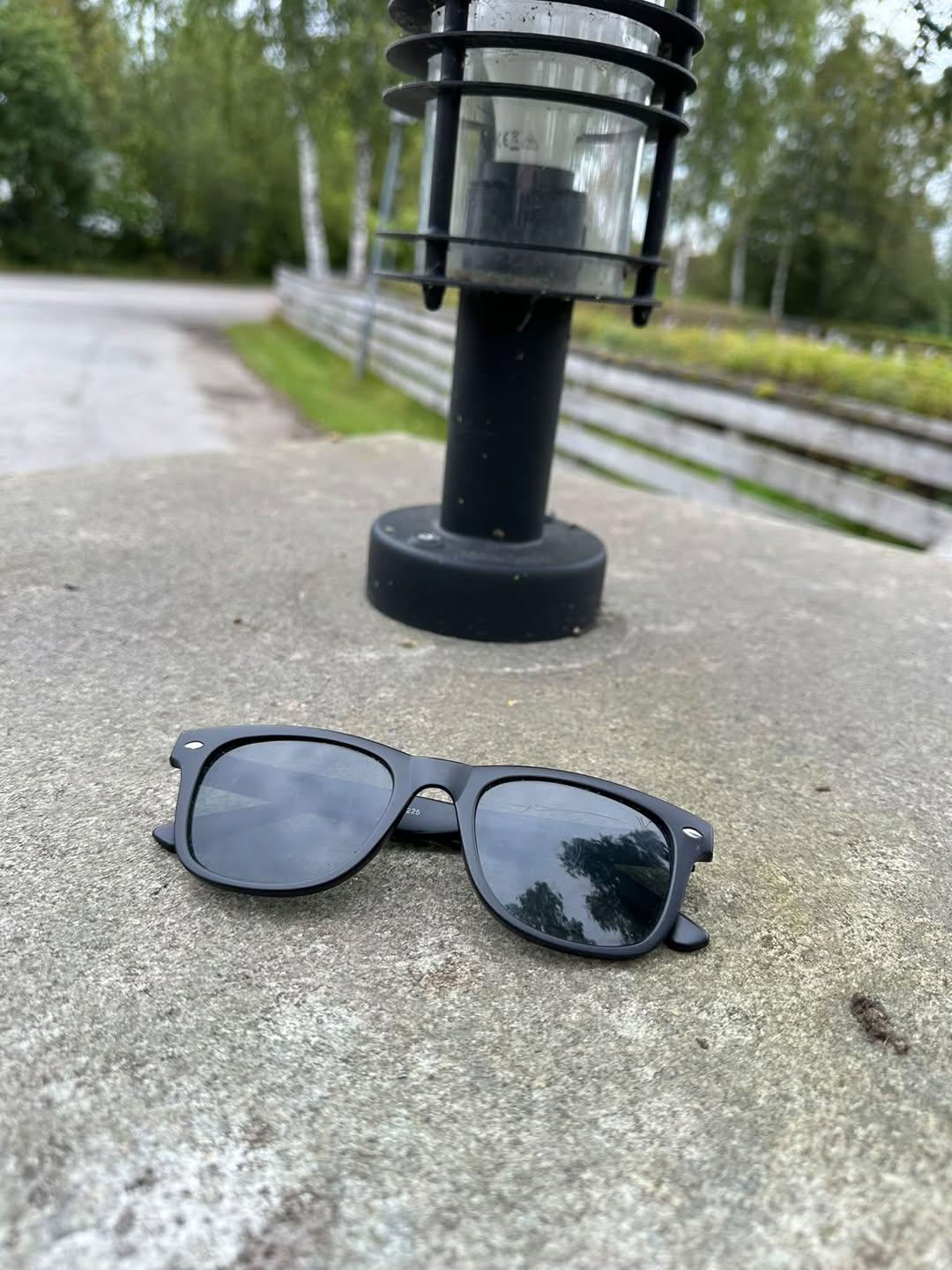 Found sunglasses
