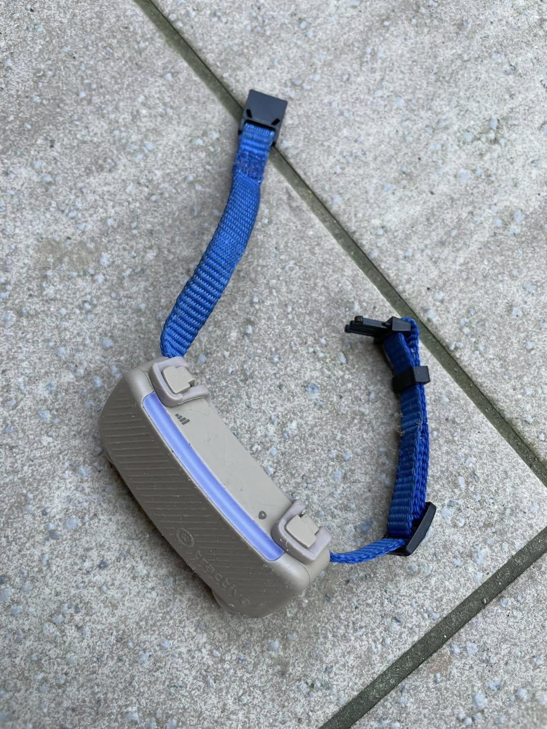 Found Digital Device in Wislikofen