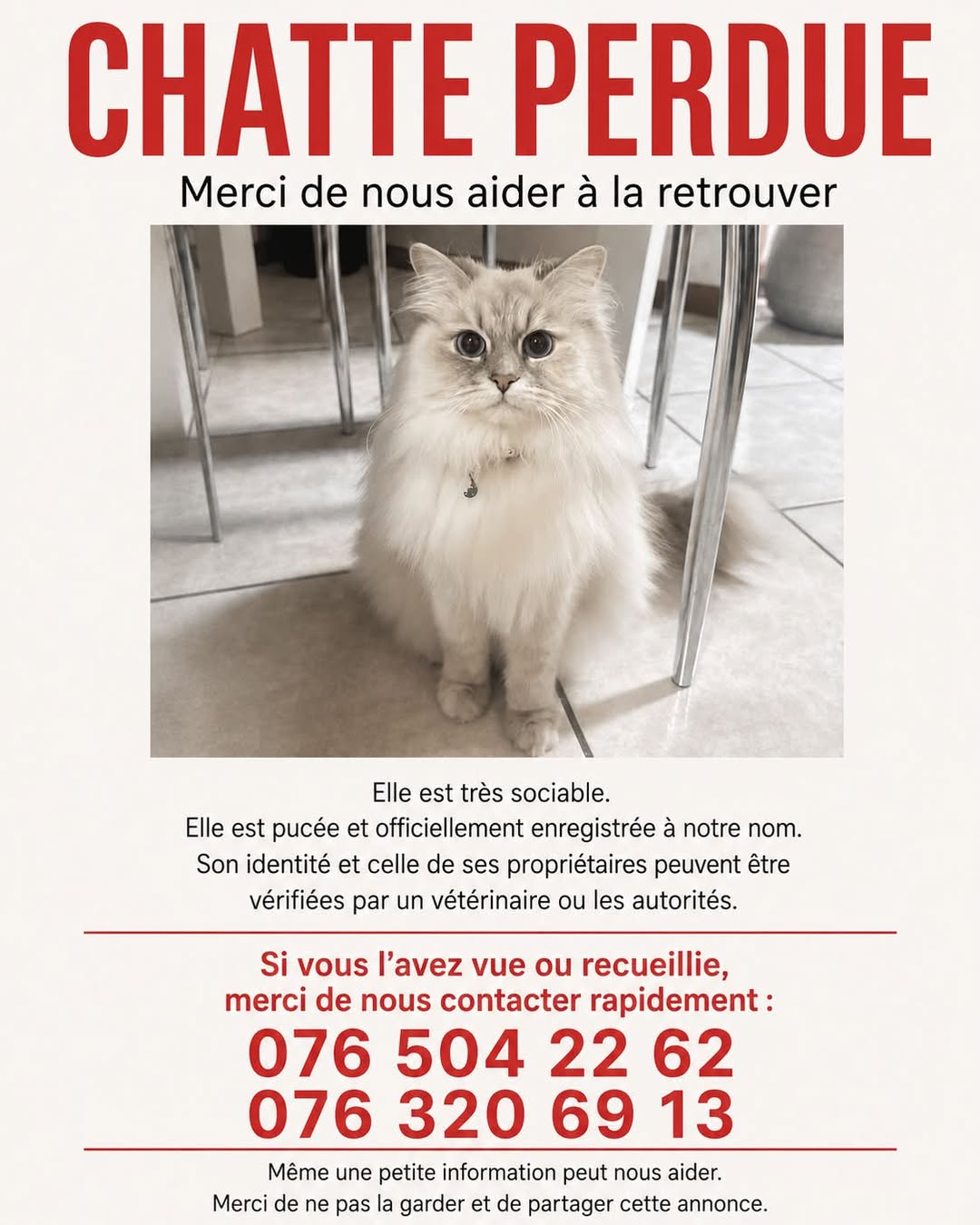 Lost Cat in Lausanne