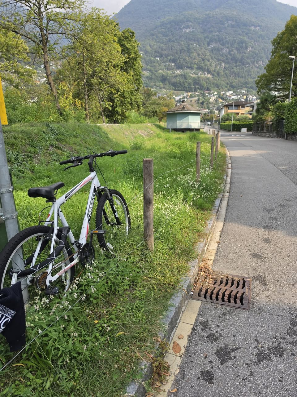 Found bike