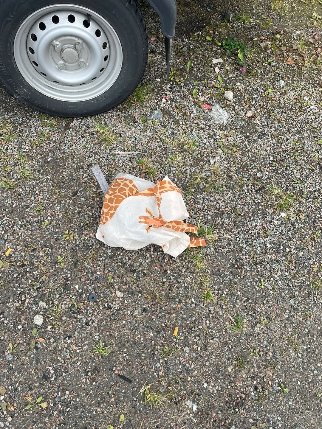 Found bag