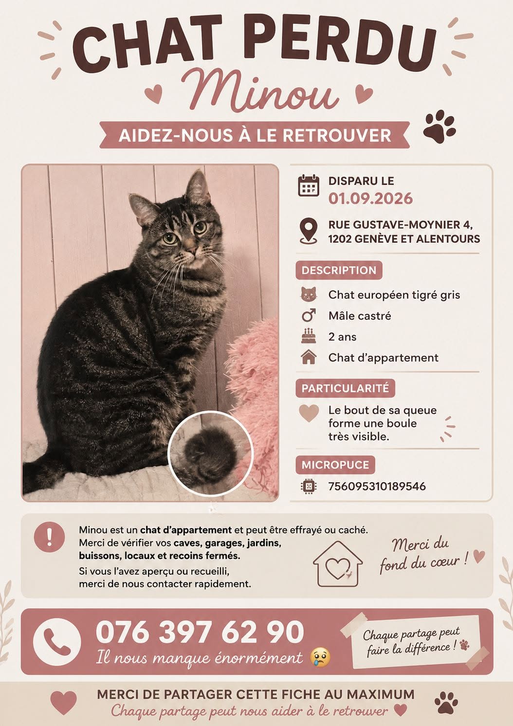 Lost Cat in Geneva