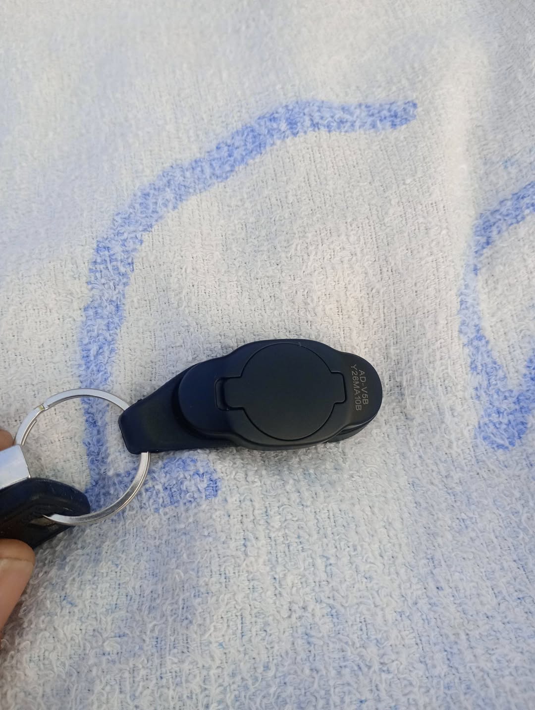Lost Keys in Catania
