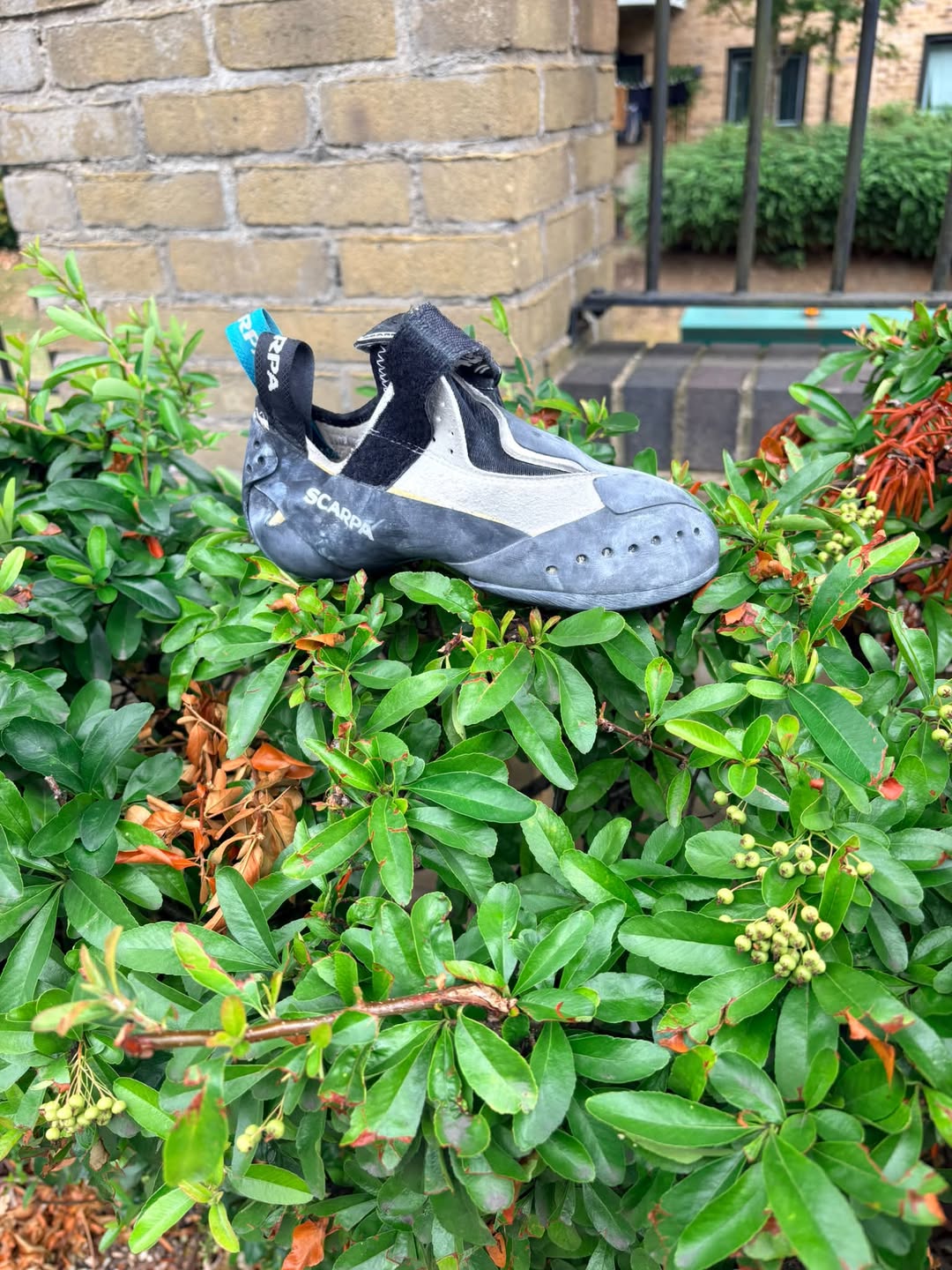 Found Shoes in York