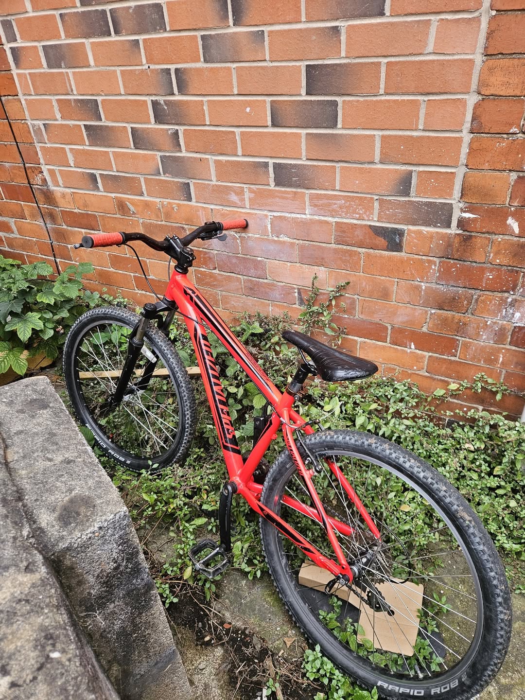 Found bike