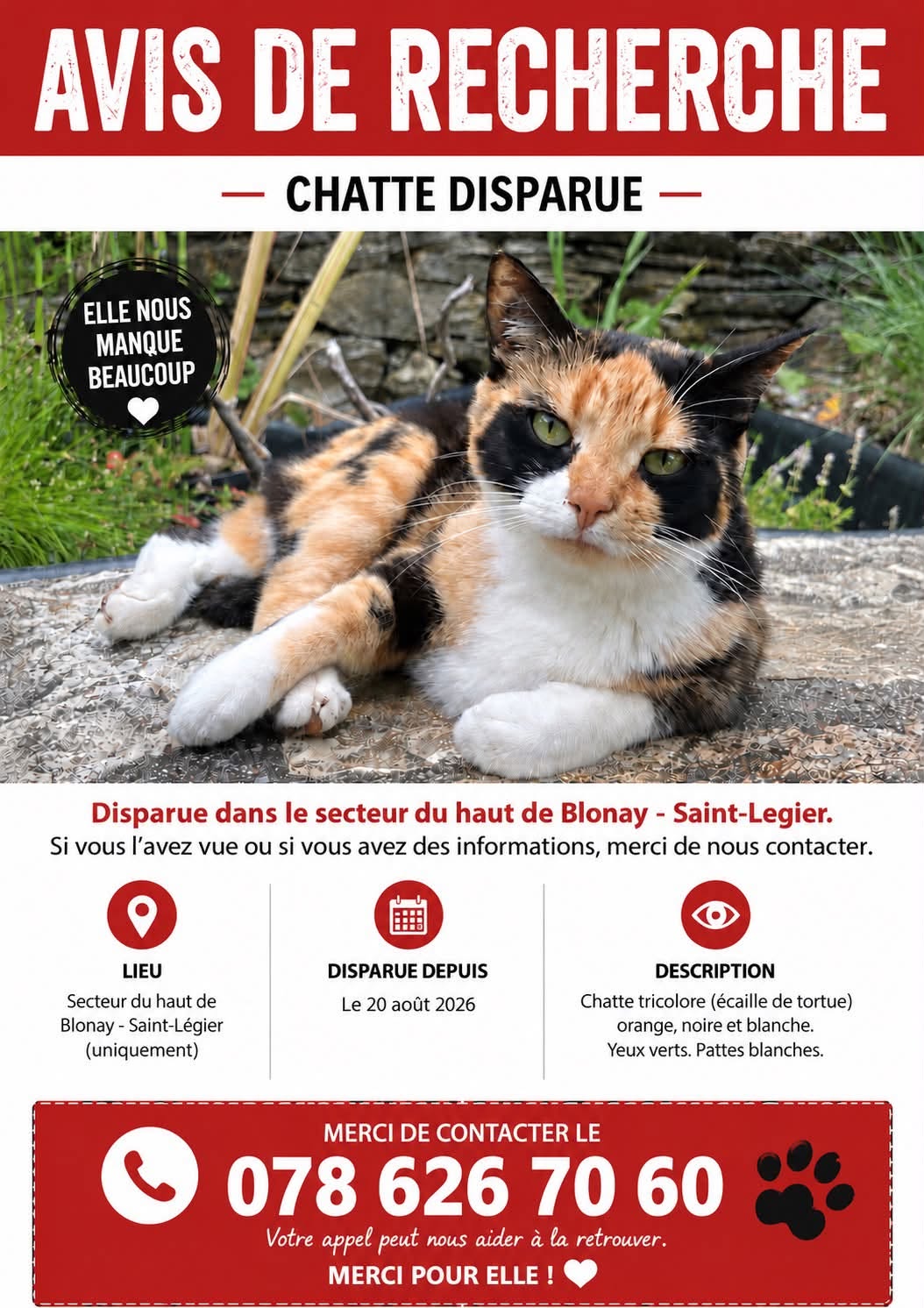 Lost Cat in Blonay - Saint-LéGier