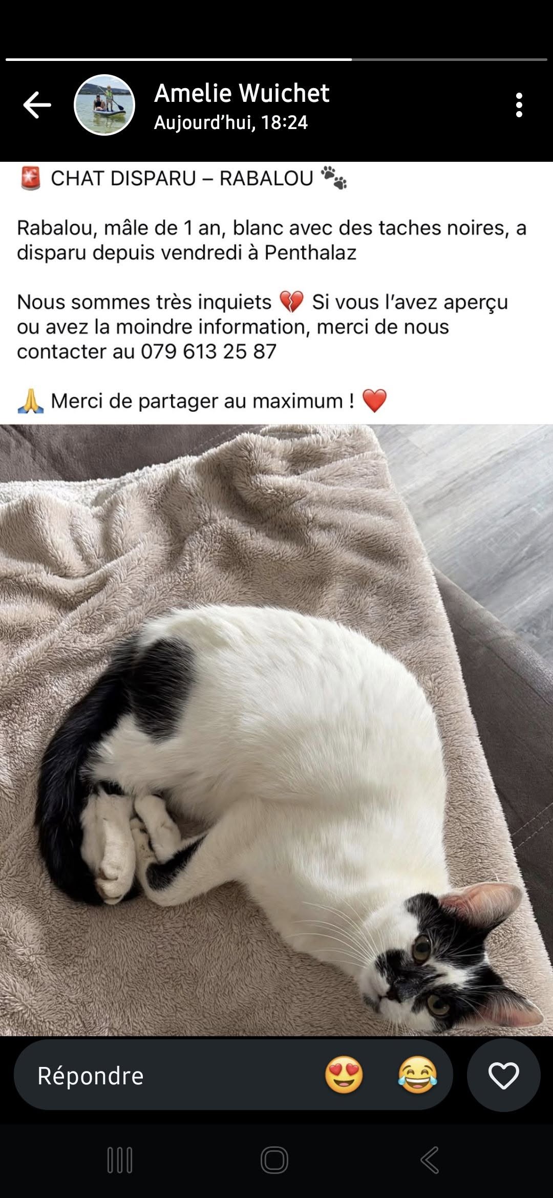 Lost Cat in Penthalaz