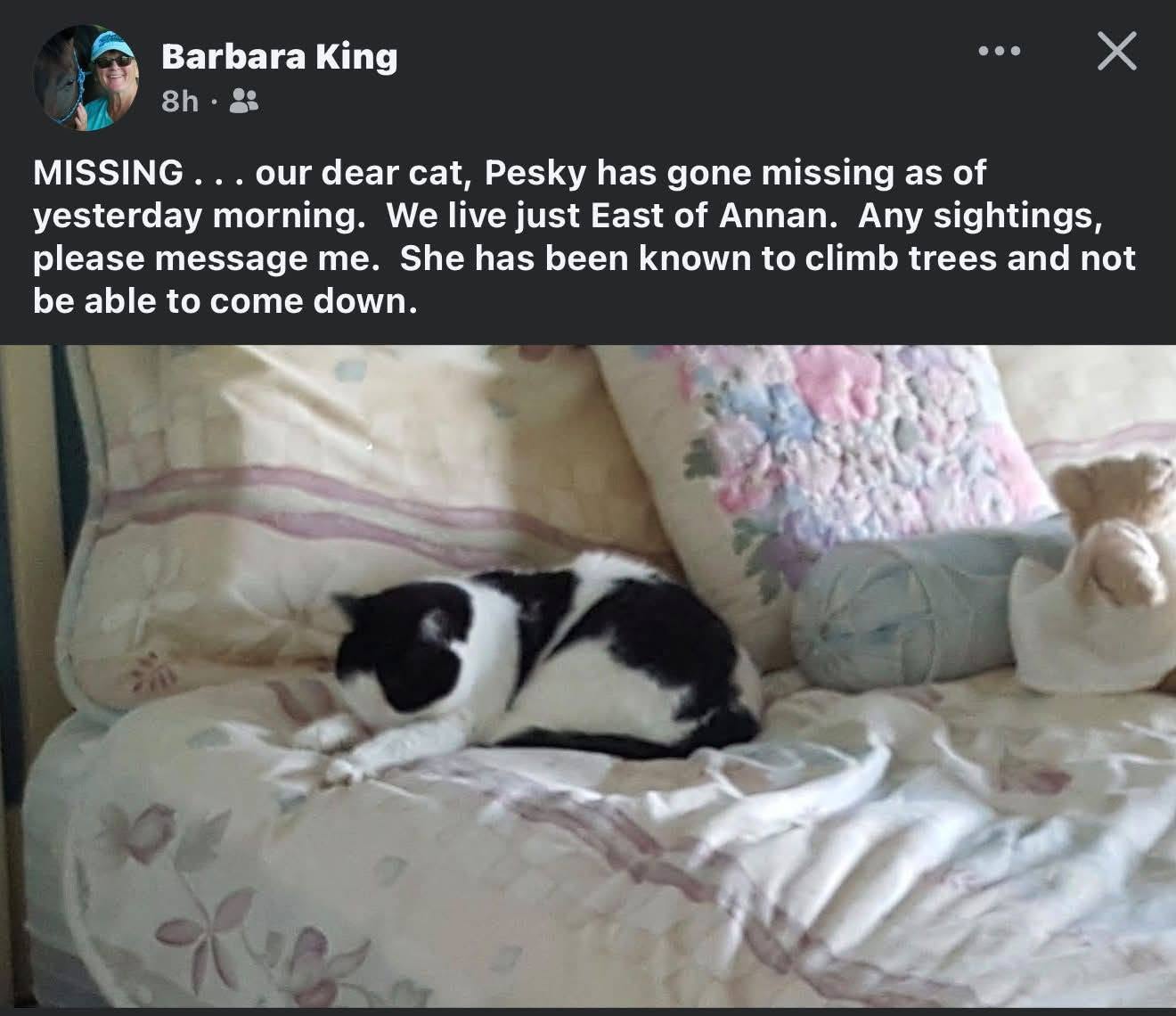 Matching item