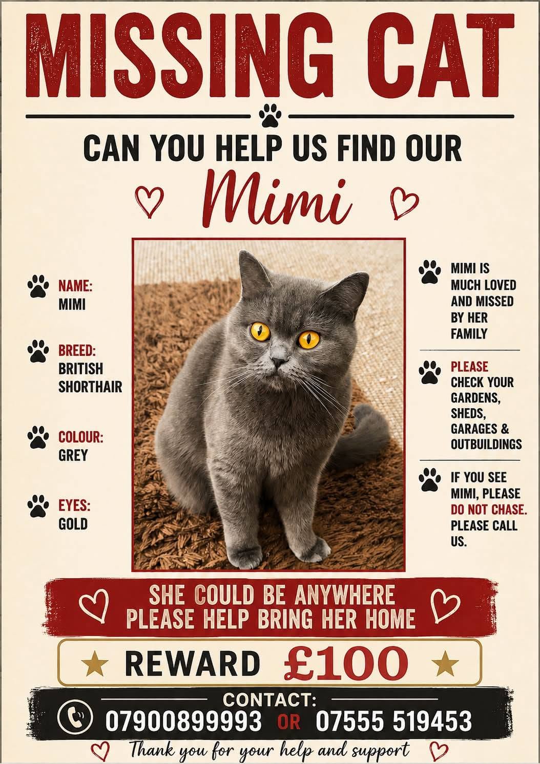 Lost Cat in York