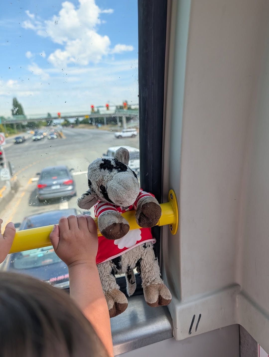 Lost Toy in Tsawwassen Mills