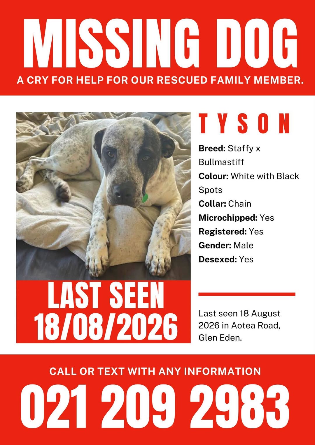 Lost dog