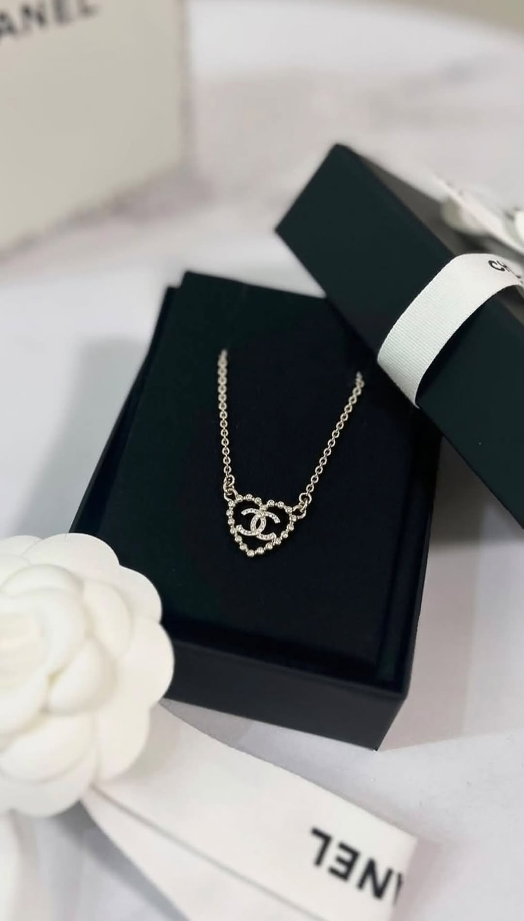 Lost Necklace in Coquitlam