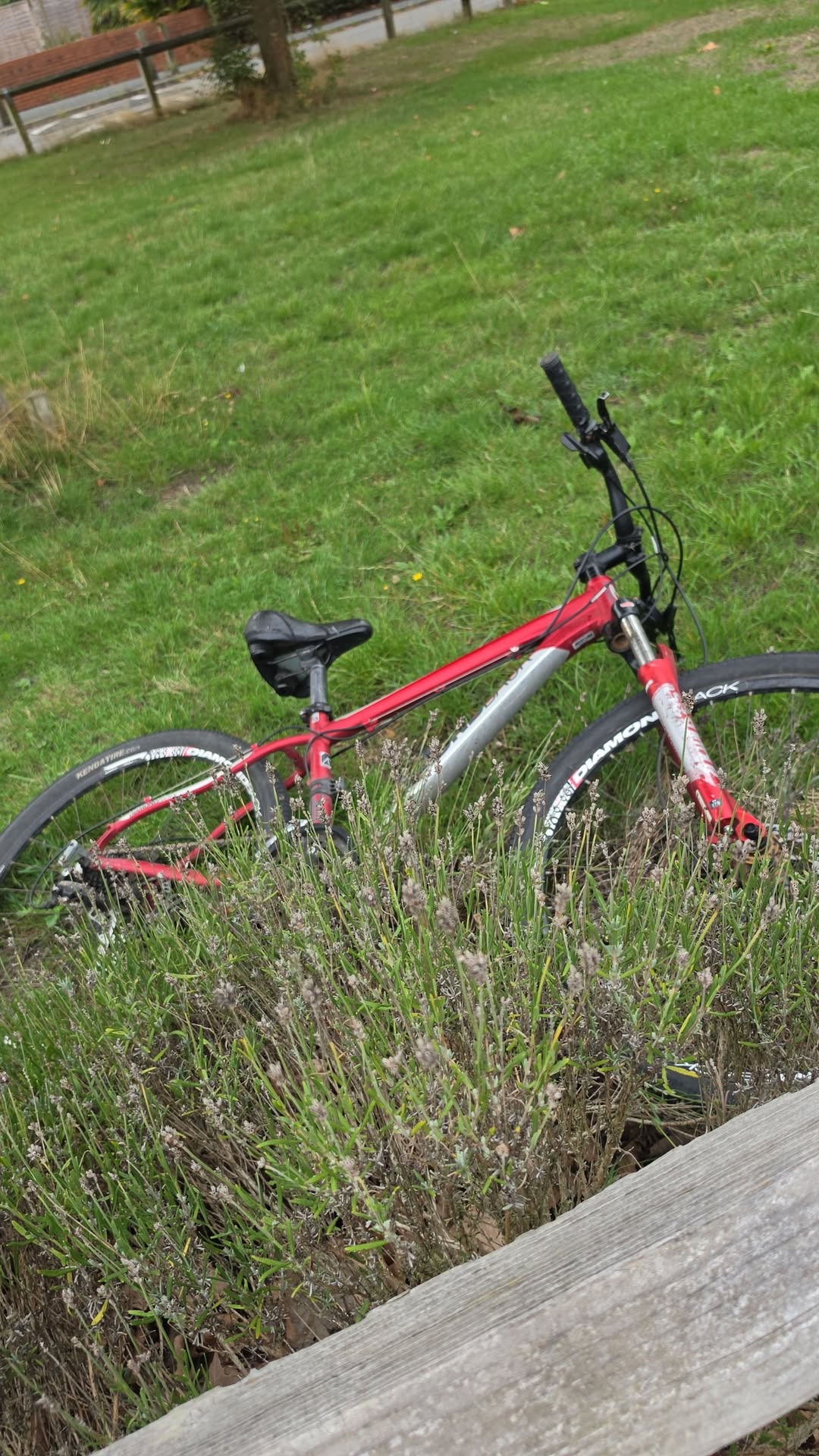 Found Bike in York