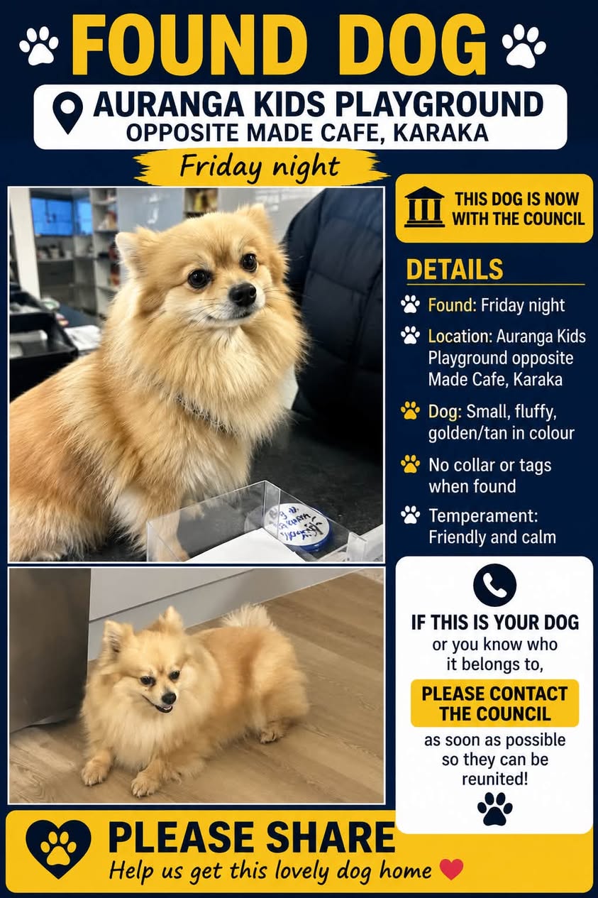 Found dog