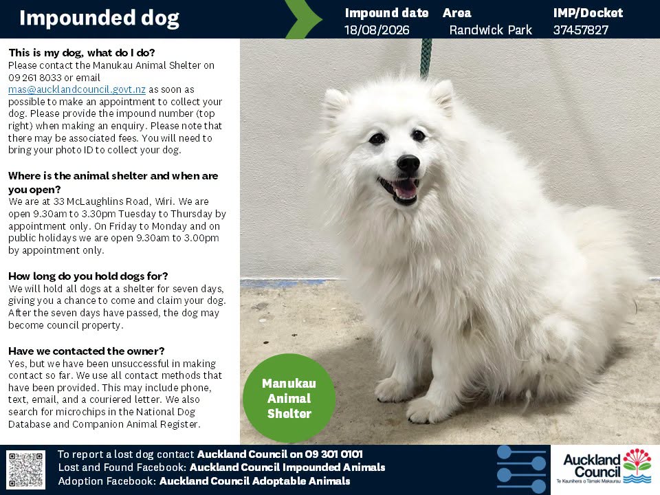 Found dog