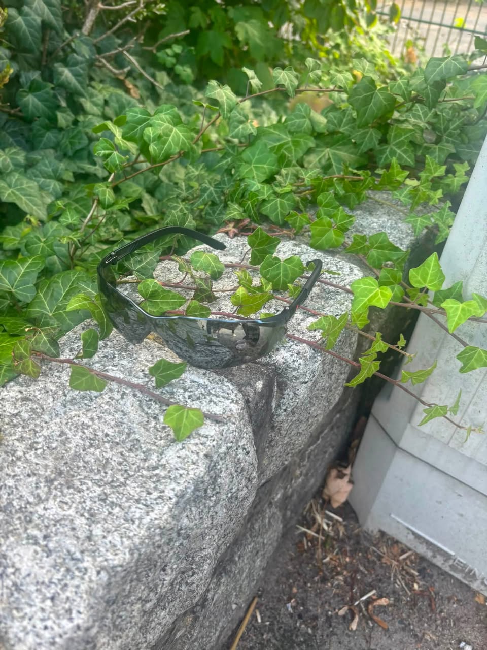 Found sunglasses