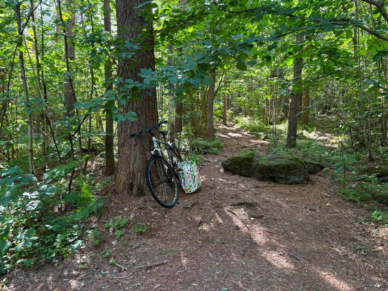 Found Bike in TøNsberg
