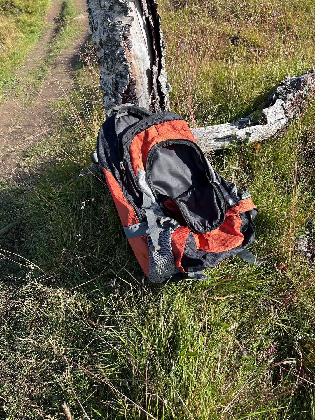 Found bag
