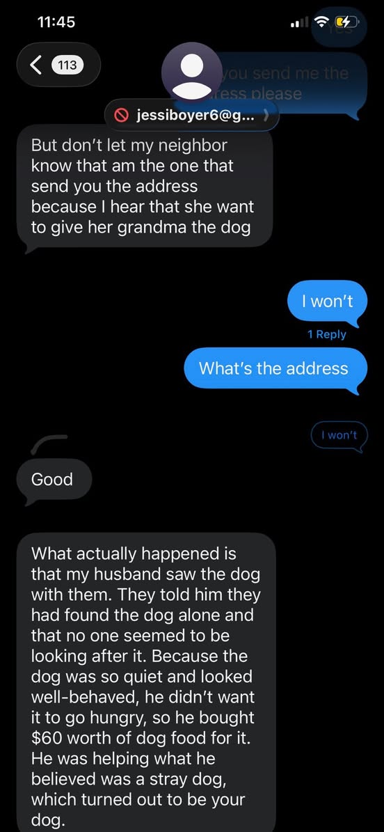 Lost Dog in Durham